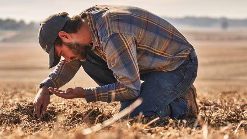 hero-20221102_Ketchum_CargillRegenConnect_TylersFarm_Part2_ScottCityMO_TRW_2012-